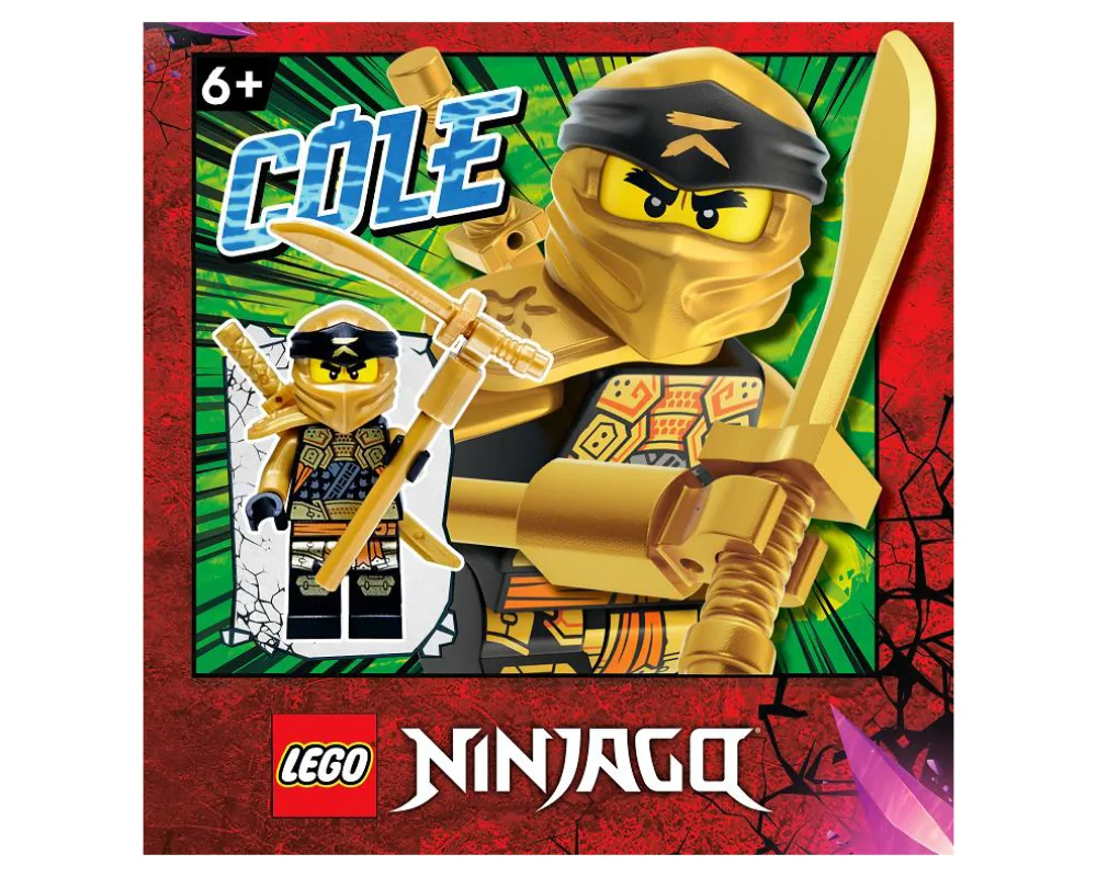 Dans le même style que le LEGO Cole doré (892295-1) | Brick Broker