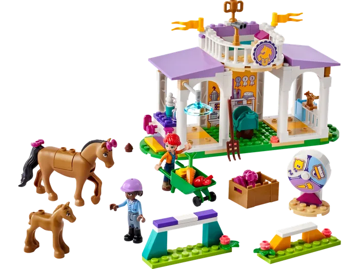 LEGO 41746 Entraînement de chevaux - prix | Brick Broker