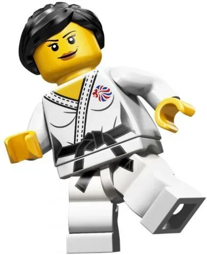 LEGO 8909 Judoka - prix et où acheter | Brick Broker