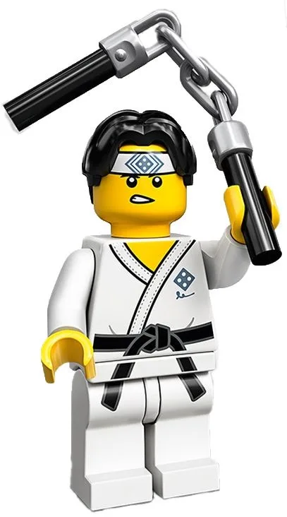 Dans le même style que le LEGO Garçon des arts martiaux (71027-10) | Brick Broker