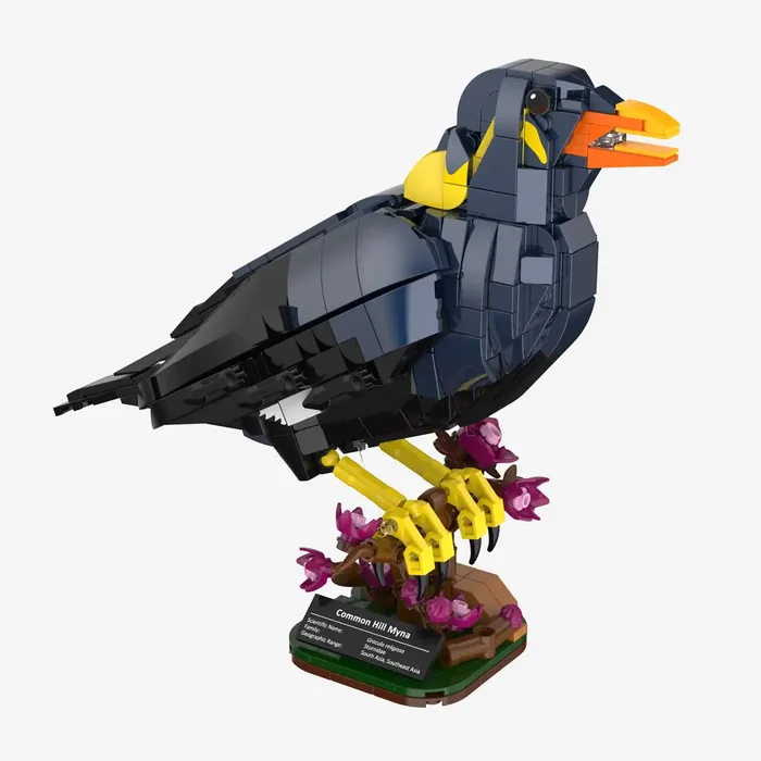 BlueBrixx Mainate (BB-109095) - prix et où acheter | Brick Broker