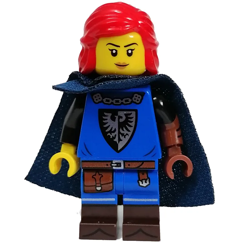 Falconer - Minifigure — dans quels sets LEGO ? (fig-013453) | Brick Broker