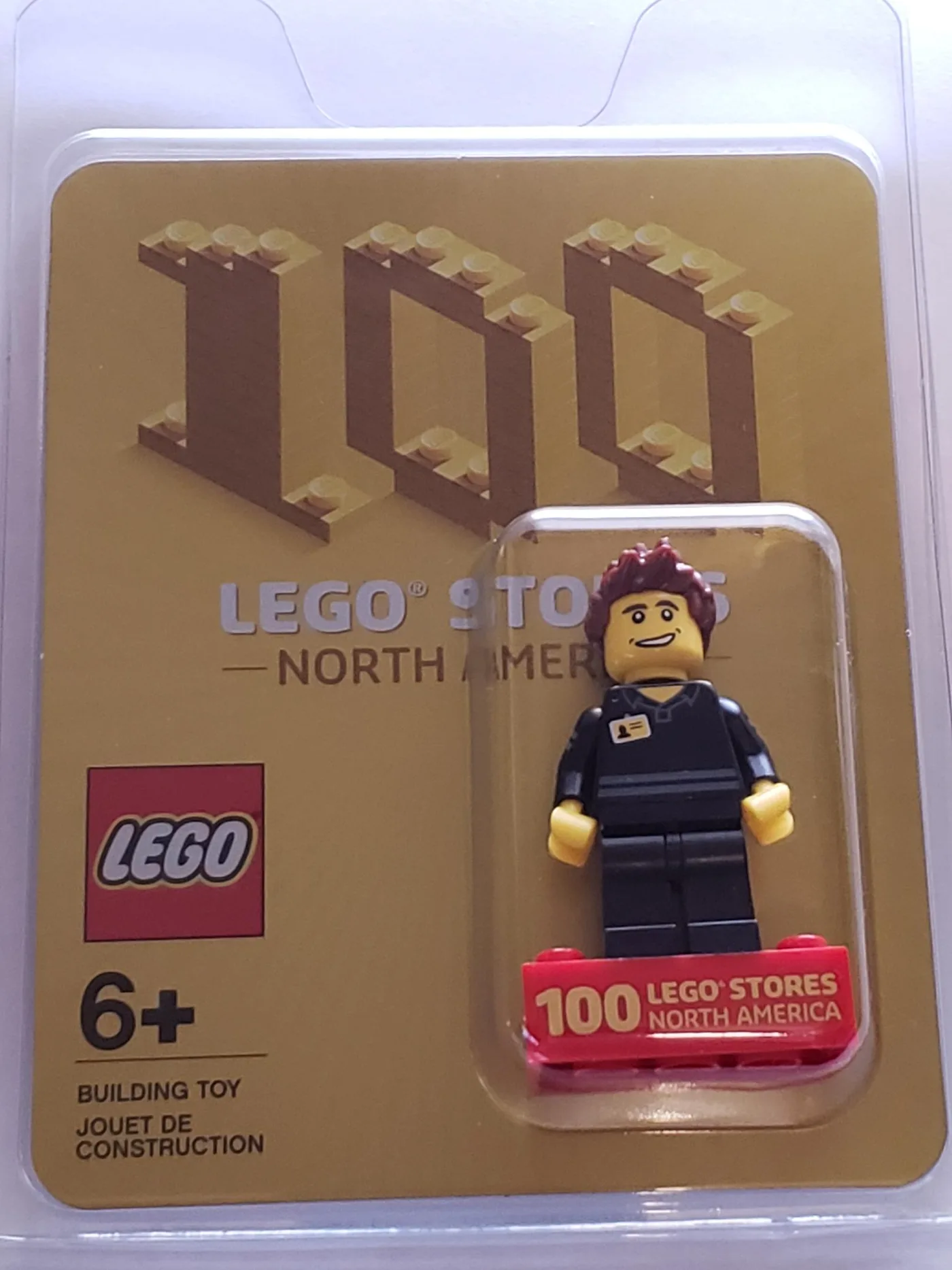 Dans le même style que le LEGO 100 LEGO Stores Amérique du Nord (100STORES-1) | Brick Broker