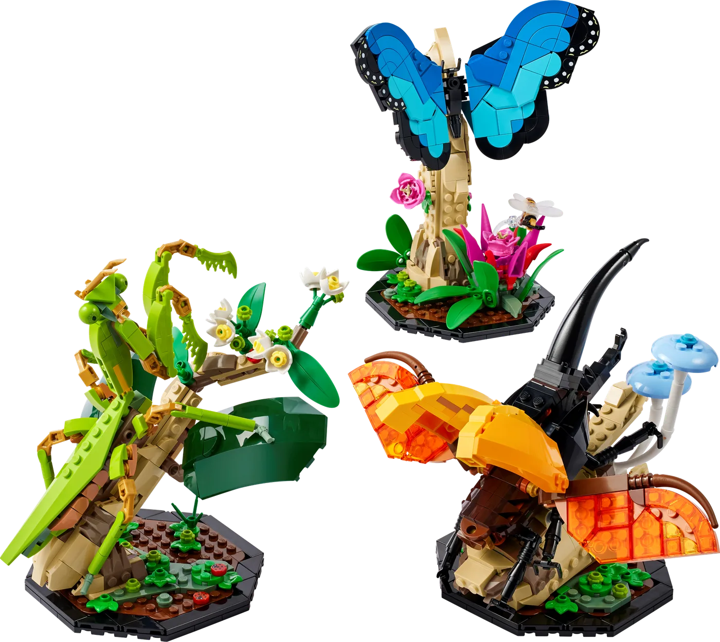 Dans le même style que le LEGO La Collection d'Insectes (21342-1) | Brick Broker