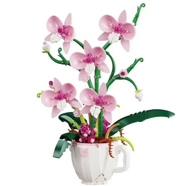 DK Rose Café Tasse Orchidée (DK-3005) - prix | Brick Broker