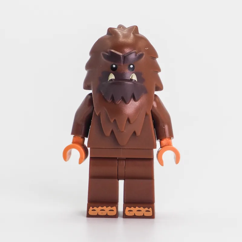 Square Foot — dans quels sets LEGO ? (fig-001470) | Brick Broker