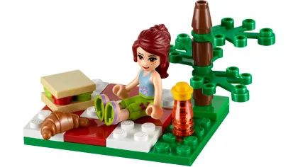 Dans le même style que le LEGO Pique-nique estival (30108-1) | Brick Broker